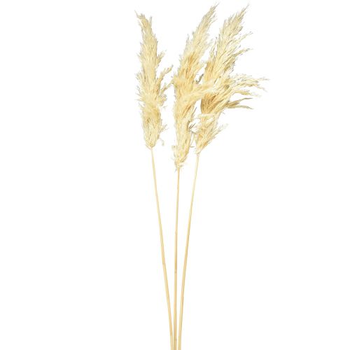 Artikel Decoratief pampasgras crème droog gras gebleekt 95cm 3 st