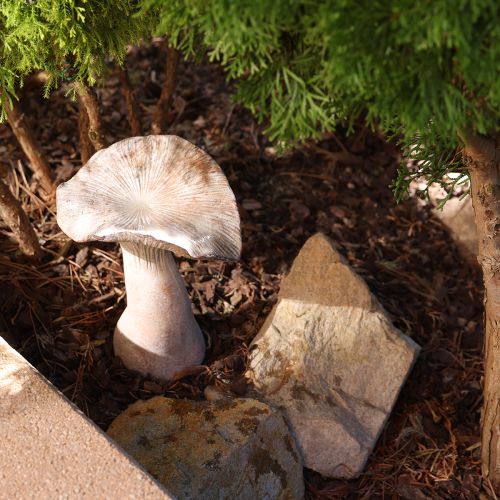 Artikel Decoratieve paddenstoel gegoten steen herfstdecoratie grijs gewassen 19×15cm H23cm