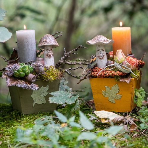 Artikel Decoratieve paddenstoelen herfstdecoratie grappige paddenstoelen Ø7/9cm H13cm 2st