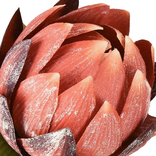 Artikel Decoratieve Protea kunstbloemen rood-oranje 34cm 3st