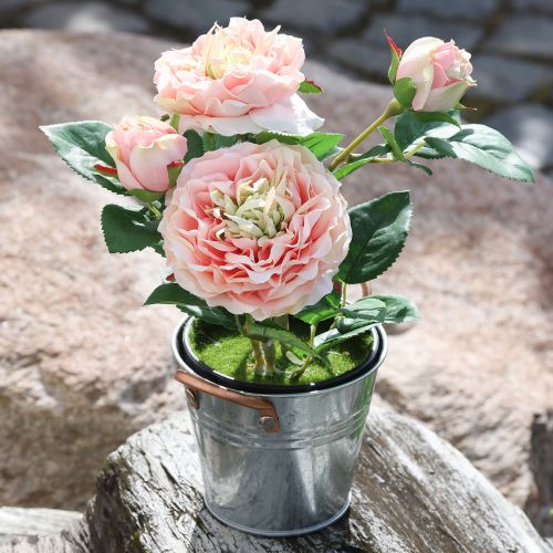 Floristik24 Decoratieve roos in pot, romantische zijden bloemen, roze pioenroos