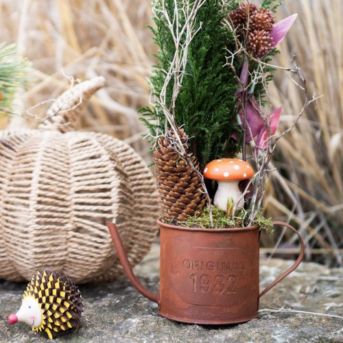 Artikel Decoratieve roestgieter plantenbak metaal Ø12,5cm H10,5cm