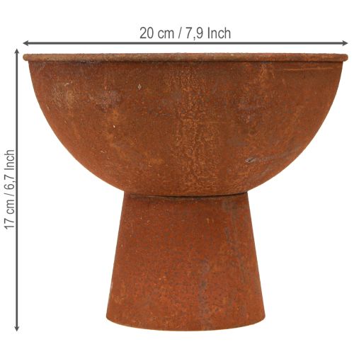 Artikel Decoratieve schaal met voet, kelkschaal, roestkleurig metaal, Ø20,5 cm, 2 stuks