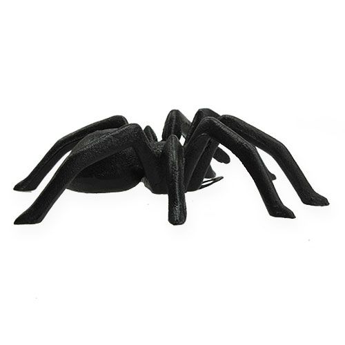 Floristik24 Spin Donkerbruin 13.5cm