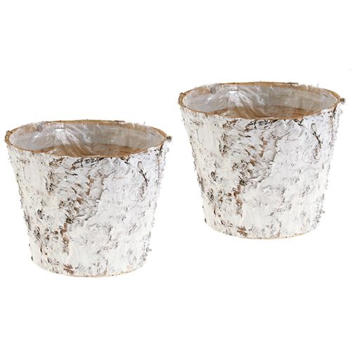 Floristik24 Decoratieve pot gewit berken plantenpot Ø18cm H15cm 2st