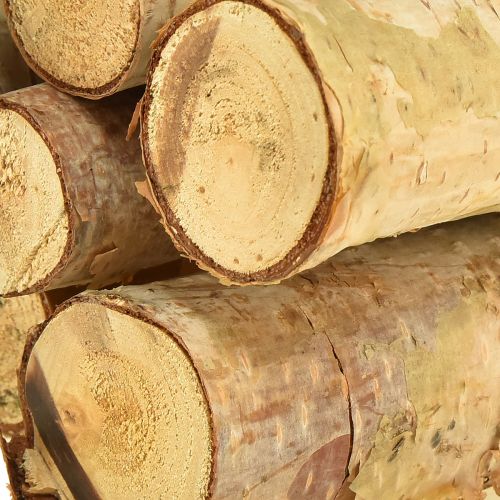 Floristik24 Decoratieve berkentakken naturel 30cm 6 st