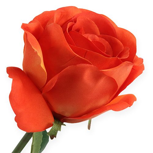 Floristik24 Decoratieve rozen oranje 32cm 6st