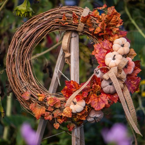 Decoratieve ring mini druivenkrans naturel Ø15cm 6 stuks DIY decoratie | Floristik24.nl