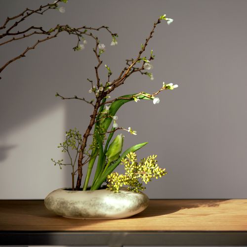 Artikel Decoratieve kom ovale platte keramiek kom crème grijsgroen 19×14×5cm