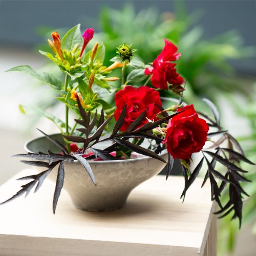 Floristik24 Decoratieve schaal met voet, ronde plantenbak, grijs, Ø19cm, H8cm