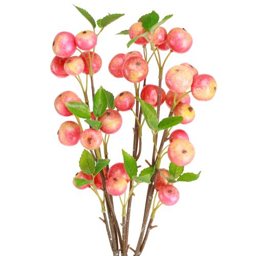 Floristik24 Decoratieve takken sierappel geel/rood herfst winter L58cm 3 st