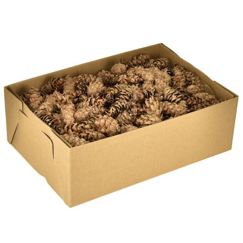 Artikel Douglas kegels 1,3 kg