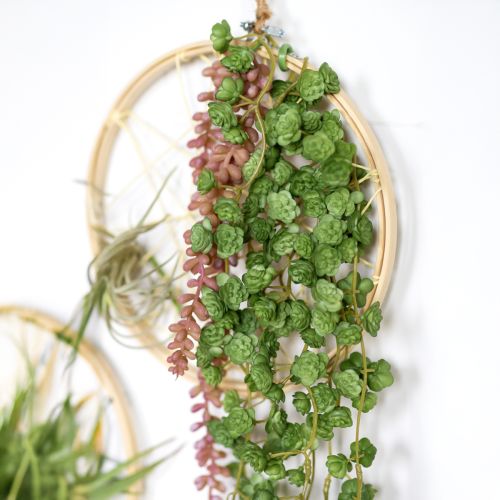 Artikel Echeveria Kunsthangplanten in Groen B12cm L50cm