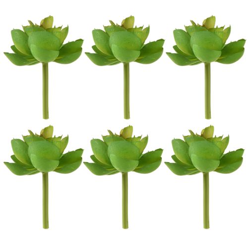 Artikel Echeveria Kunstmatige Vetplanten Groen Ø7cm 6 stuks