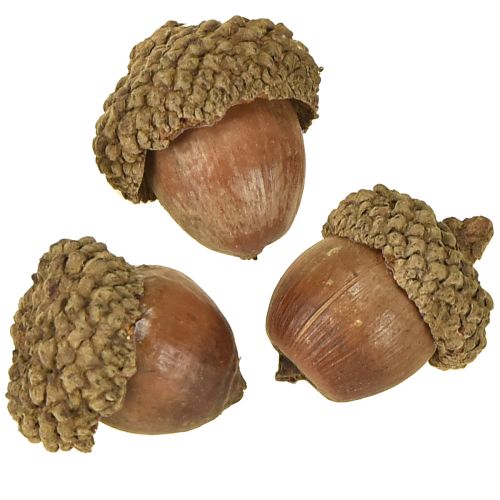 Artikel Eikels ter decoratie, herfstdecoratie, natuurlijke herfstvruchten Ø1,5 – 2,5 cm L1,5 – 3 cm 300 g