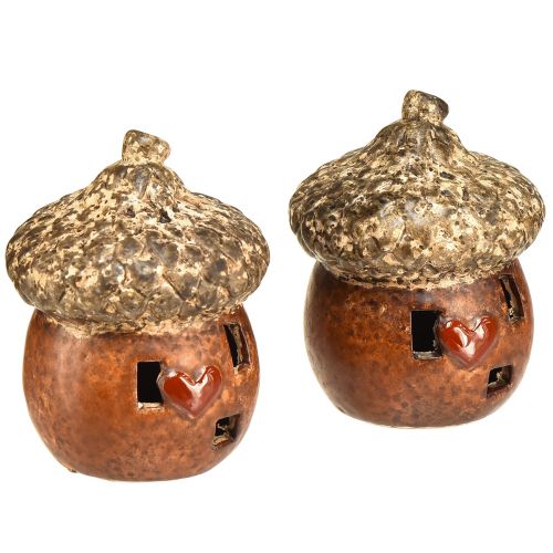 Floristik24 Eikel met raam en hartdecoratie 9,8 cm - sfeervolle herfst- en winterdecoratie - 4 stuks