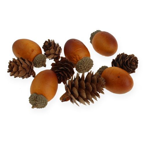 Floristik24 Eikel, kegels mix in een net 60st