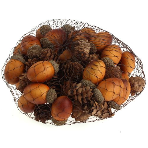 Floristik24 Eikel, kegels mix in een net 60st
