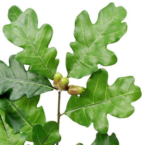 Floristik24 Eiken tak groen 68cm