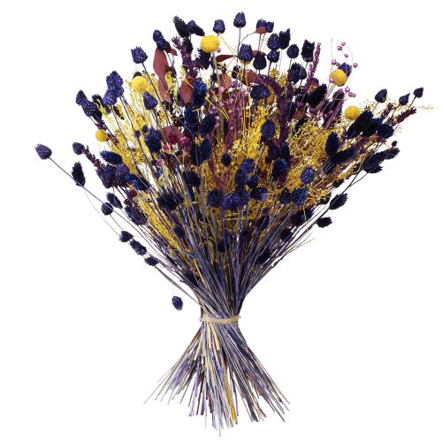 Artikel Aardbeiendistels Droge disteldisteldecoratie Violet 44-58cm 100g