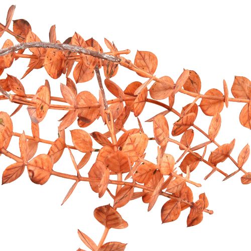 Artikel Kunst Eucalyptus Hanger Herfst Eucalyptus Oranje 150cm