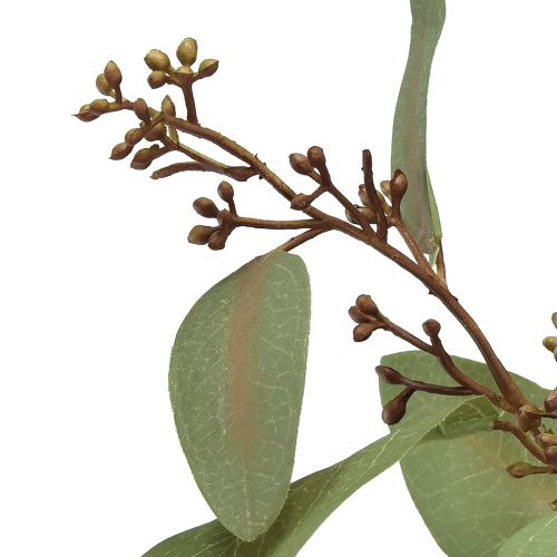 Artikel Eucalyptustak kunst siertak groene kunsttak 60cm