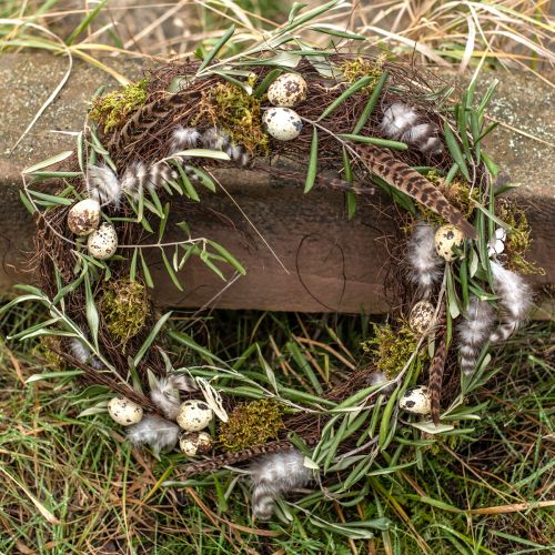 Floristik24 Fazantenveren Decoratie Echte Veren Naturel 40cm 9 st