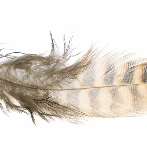 Floristik24 Veren naturel 4.5 - 9cm 20g