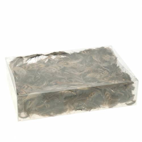 Floristik24 Veren naturel 4.5 - 9cm 20g