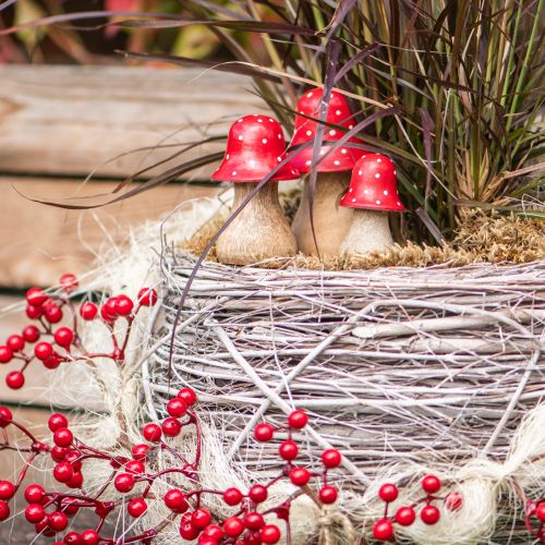 Floristik24 Vliegenzwam decoratie paddenstoelen houten paddenstoelen herfstdecoratie H6/8/10cm set van 3
