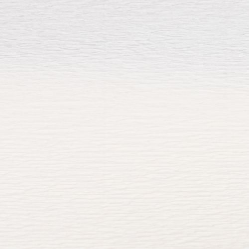 Artikel Bloemisten crêpepapier wit 50x250cm