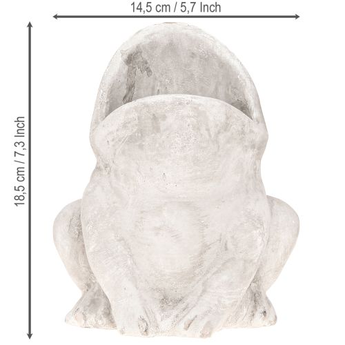 Artikel Kikker decoratieve plantenbak bloempot betongrijs H18,5cm