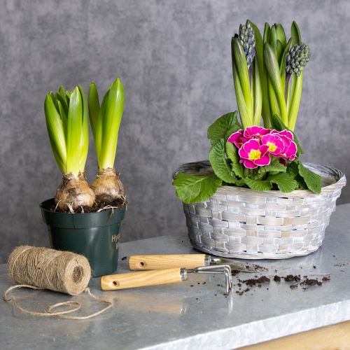 Artikel Gevlochten mand als stijlvolle bloemdecoratie in de woonkamer. Paasmand, 23 cm, 6 stuks.