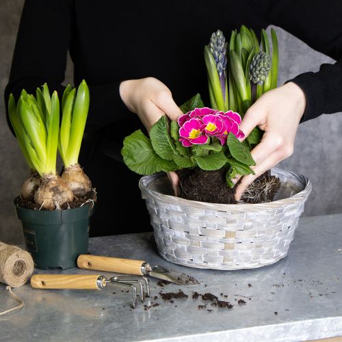 Artikel Gevlochten mand als stijlvolle bloemdecoratie in de woonkamer. Paasmand, 23 cm, 6 stuks.
