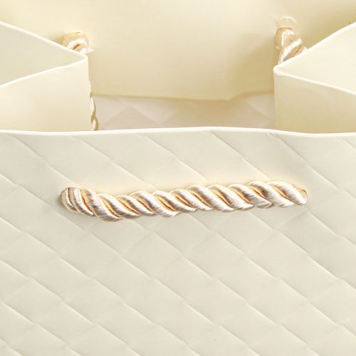 Artikel Cadeauzakje voor flessen papier crème 12×9×36cm 1 st