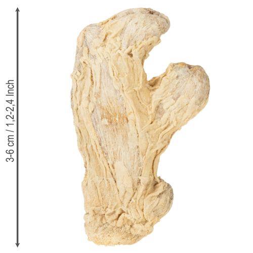 Artikel Gedroogde Gember Decoratie Natuurlijke Decoratie 500g