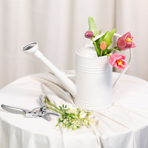 Artikel Gieter met afneembare sproeikop. Ideaal voor kamerplanten en balkons. 32 cm