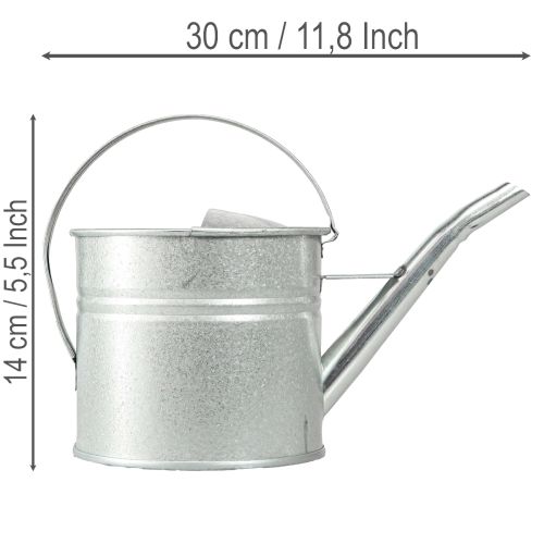 Vintage decoratieve gieter, metaal, zilver, 1,25 liter plantenbak | Floristik24.nl