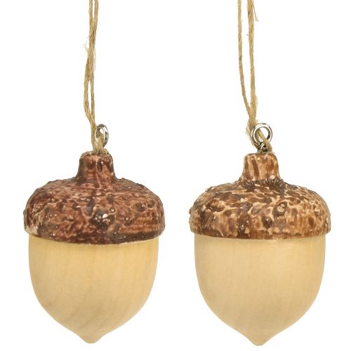 Floristik24 Eikel voor hangdecoratie herfst naturel/bruin 5,3x3,5cm 12 stuks