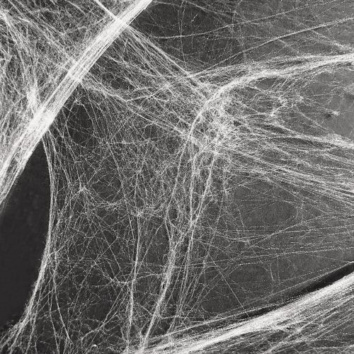 Floristik24 Halloween decoratie spinnenweb spinnenwebben 70×100cm 150g