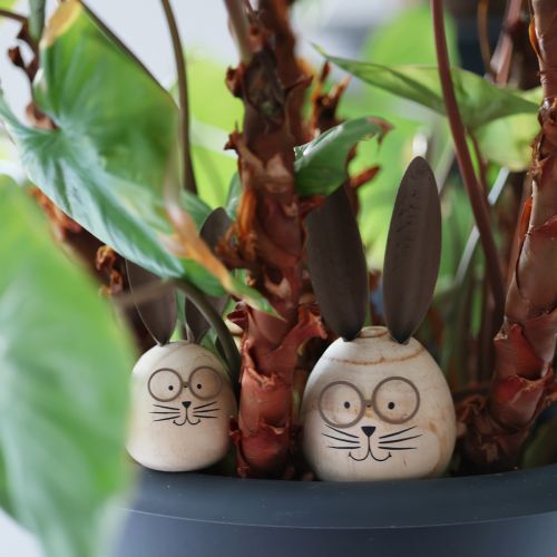 Artikel Eivormig konijnenfiguurtje met karakter voor lente- en seizoensdecoratie, 14 cm, 3 stuks