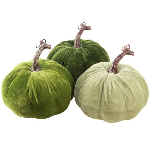 Floristik24 Herfstdecoratie pompoen lichtgroen groen donkergroen Ø13cm 3 st