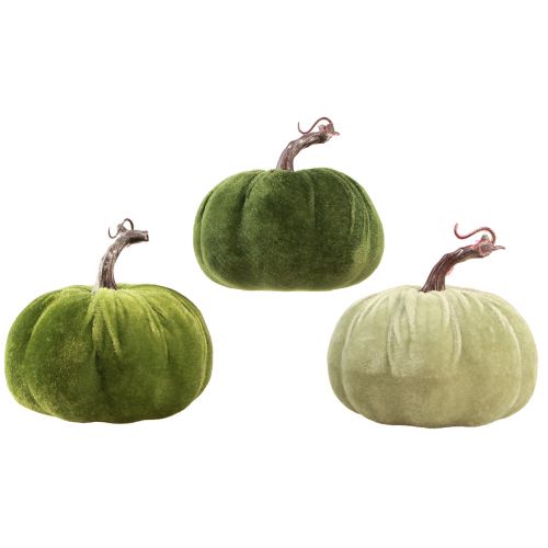 Floristik24 Herfstdecoratie pompoen lichtgroen groen donkergroen Ø13cm 3 st
