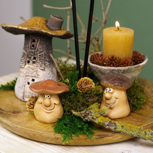 Artikel Herfstdecoratieset egel paddenstoelen draak – koop decoratiebox goedkoop