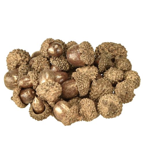 Floristik24 Gouden herfstvruchten, feestelijke herfstdecoraties, natuurlijke decoratieve eikels, Adventsdecoratie Ø1,5 – 2,5 cm L1,5 – 3 cm 300 g