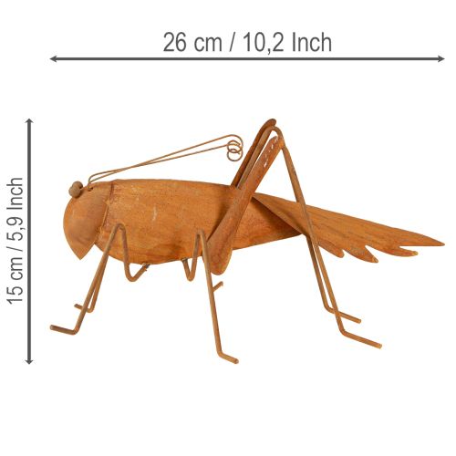 Artikel Tuindecoratie in de vorm van een sprinkhaan, roestkleurig metaal, vrijstaande decoratie, 26 cm