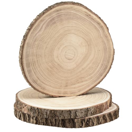 Floristik24 Houten schijven boomschijf Paulownia naturel Ø26-28cm 3 st