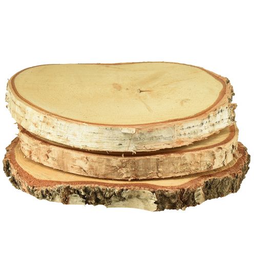 Floristik24 Houten schijven berkenhout met schors boomschijven Ø20-22cm 3 stuks