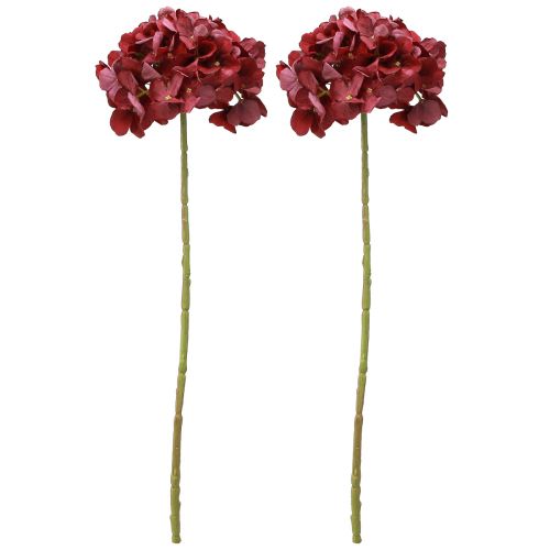 Artikel Hortensia Kunst Bordeaux Grote Bloem Ø15cm L58cm 2st
