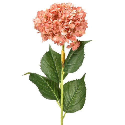 Floristik24 Hortensia Roze 80cm 1 st